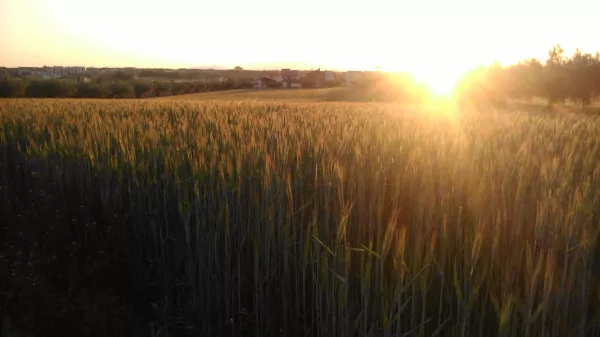 Imagen de Bràfim, un municipio de Alt Camp