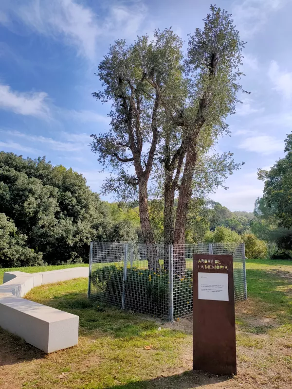 Imagen de Castellar del Vallès, un municipio de Vallès Occidental