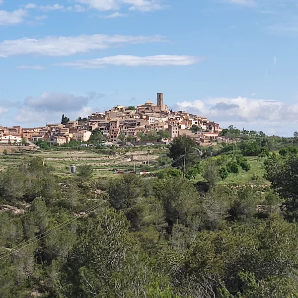 Imagen de La Figuera, un municipio de Priorat