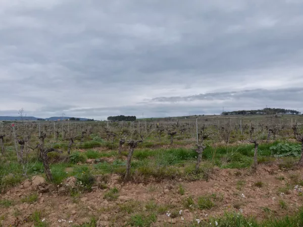 Imagen de Font-rubí, un municipio de Alt Penedès