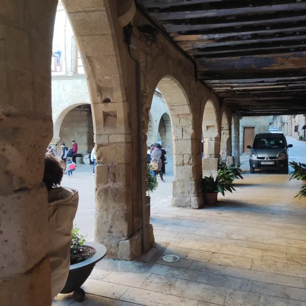 Imagen de Horta de Sant Joan, un municipio de Terra Alta