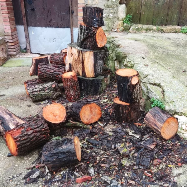 Imagen de La Morera de Montsant, un municipio de Priorat