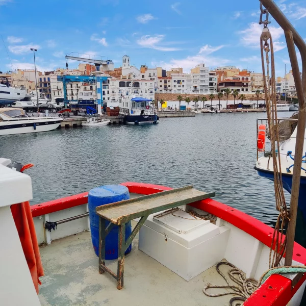Imagen de L'Ametlla de Mar, un municipio de Baix Ebre
