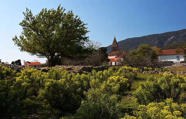 Imagen de Osor, un municipio de Selva