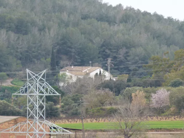 Imatge de Pacs del Penedès, un municipi de Alt Penedès