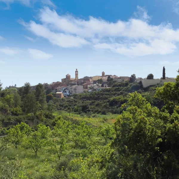 Imagen de La Palma d’Ebre, un municipio de Ribera d’Ebre