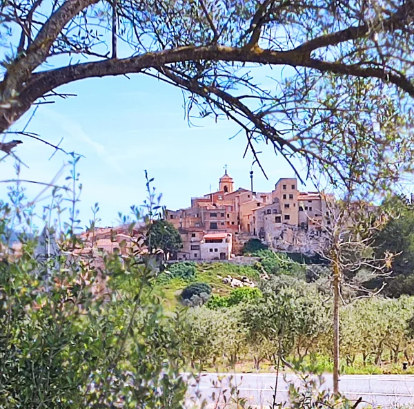 Imagen de El Pinell de Brai, un municipio de Terra Alta