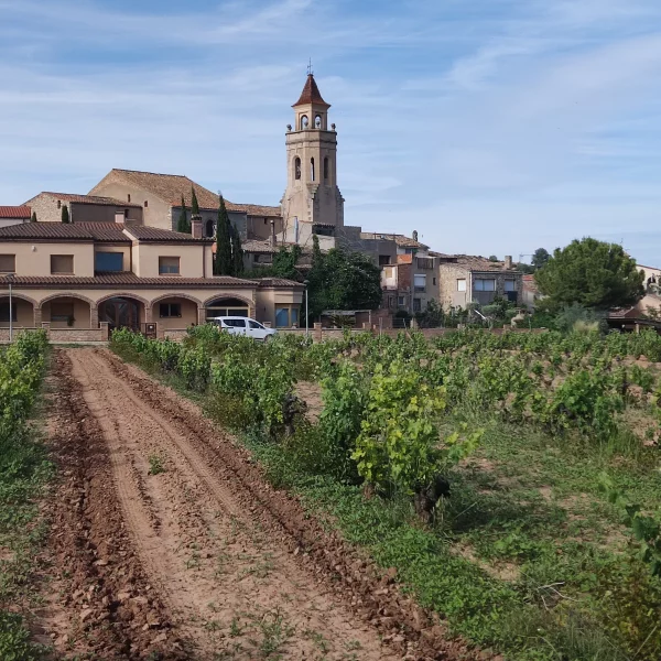 Imagen de Pira, un municipio de Conca de Barberà