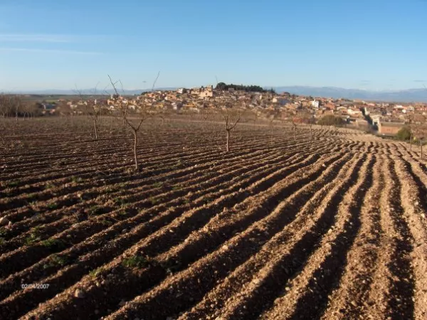 Imagen de Arbeca, un municipio de Garrigues