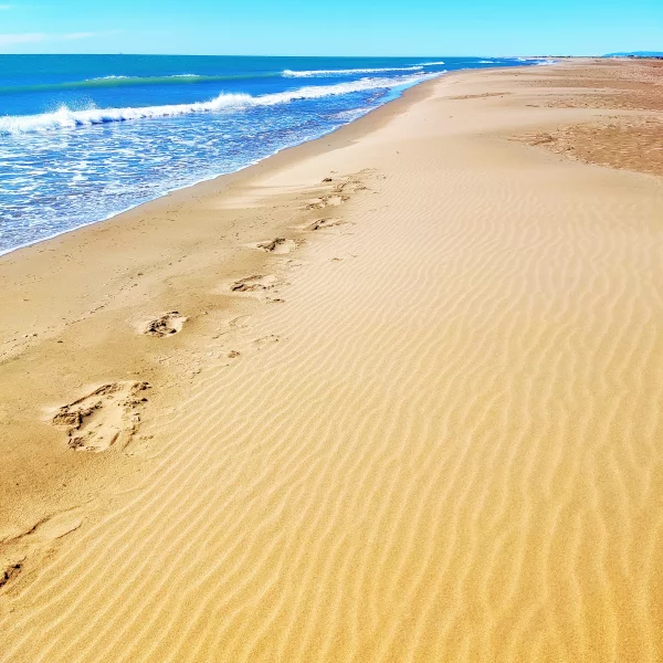 Imagen de La Ràpita, un municipio de Montsià