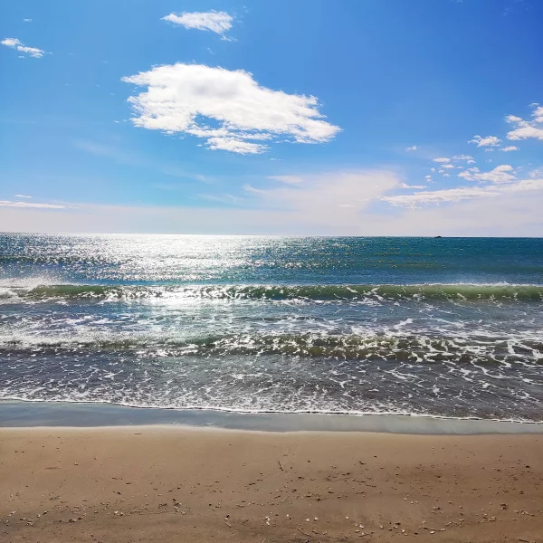 Imagen de La Ràpita, un municipio de Montsià