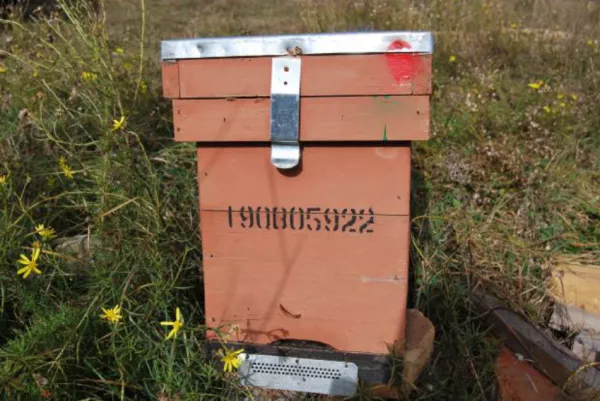 Imagen de Riu de Cerdanya, un municipio de Cerdanya