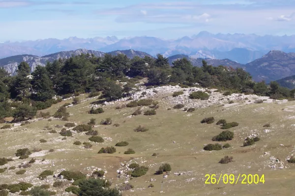 Imagen de L'Argentera, un municipio de Baix Camp