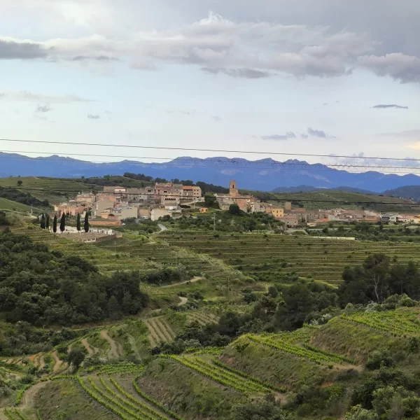 Imagen de Roquetes, un municipio de Baix Ebre