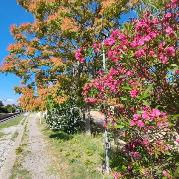 Imagen de Sant Guim de Freixenet, un municipio de Segarra