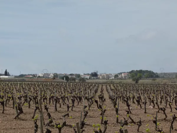 Imagen de Santa Fe del Penedès, un municipio de Alt Penedès