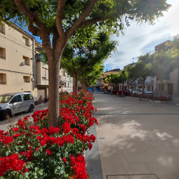 Imagen de Sarral, un municipio de Conca de Barberà