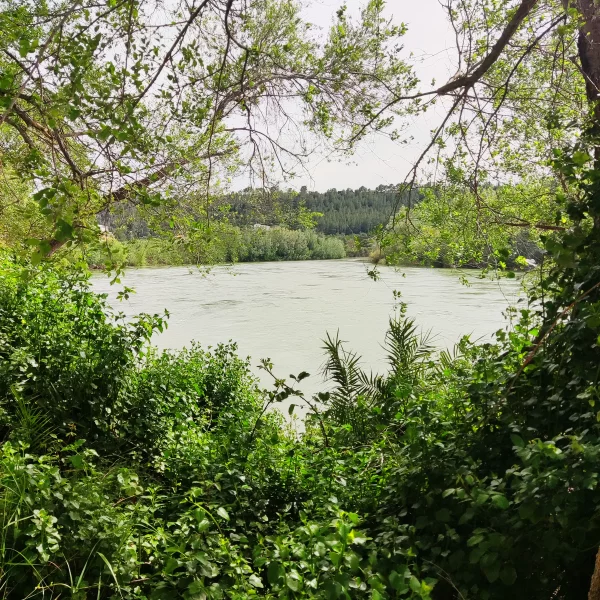 Imagen de Tivenys, un municipio de Baix Ebre