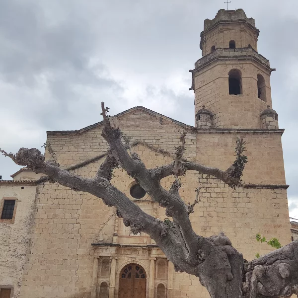 Imagen de Tivissa, un municipio de Ribera d’Ebre