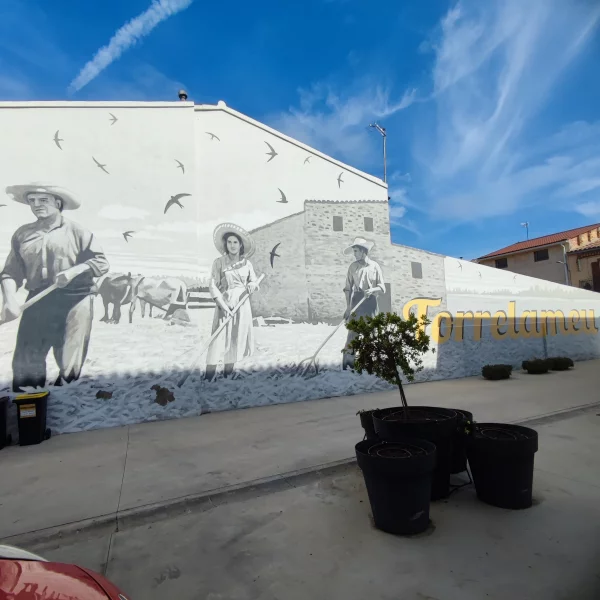 Imagen de Torrelameu, un municipio de Noguera