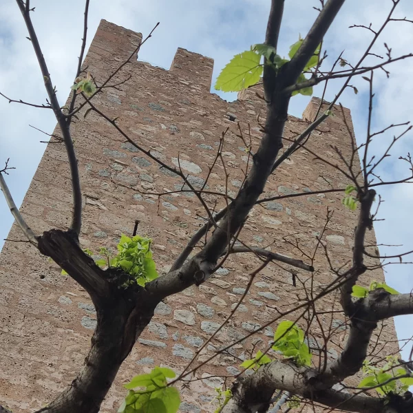 Imagen de Vandellòs i l'Hospitalet de l'Infant, un municipio de Baix Camp